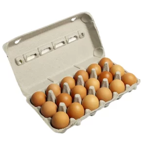 Nulaid Jumbo Eggs 18s