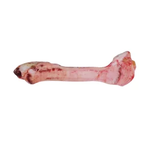 Beef long bones ( Dog bones )