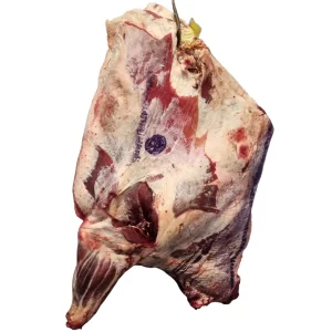 Whole Beef ForeQuarter ( Cut & Packed )